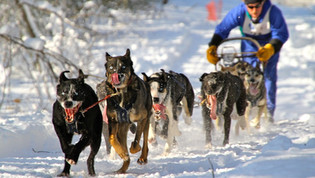 Race