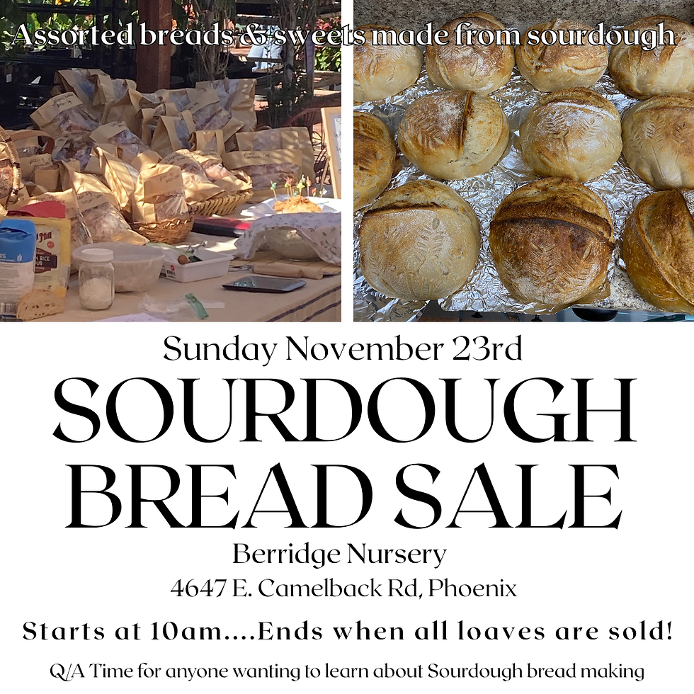 Sourdough Bread & Baked Goods Sale