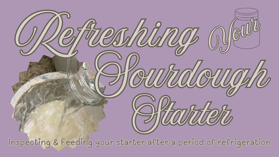 Refreshing Your Sourdough Starter