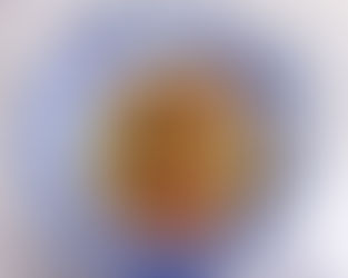 Simple Plant Based Stir Fry