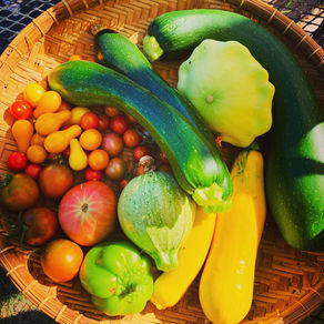 Summer Garden Cleaning