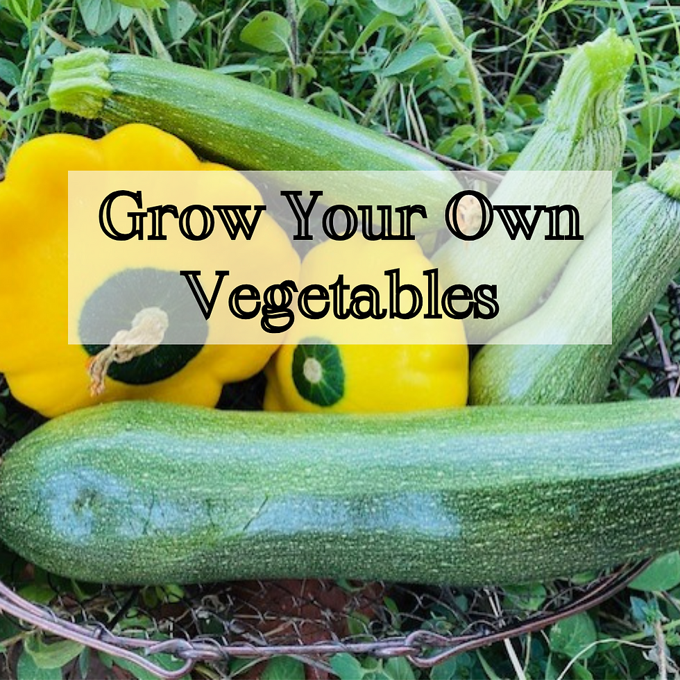 Grow Your Own Vegetables