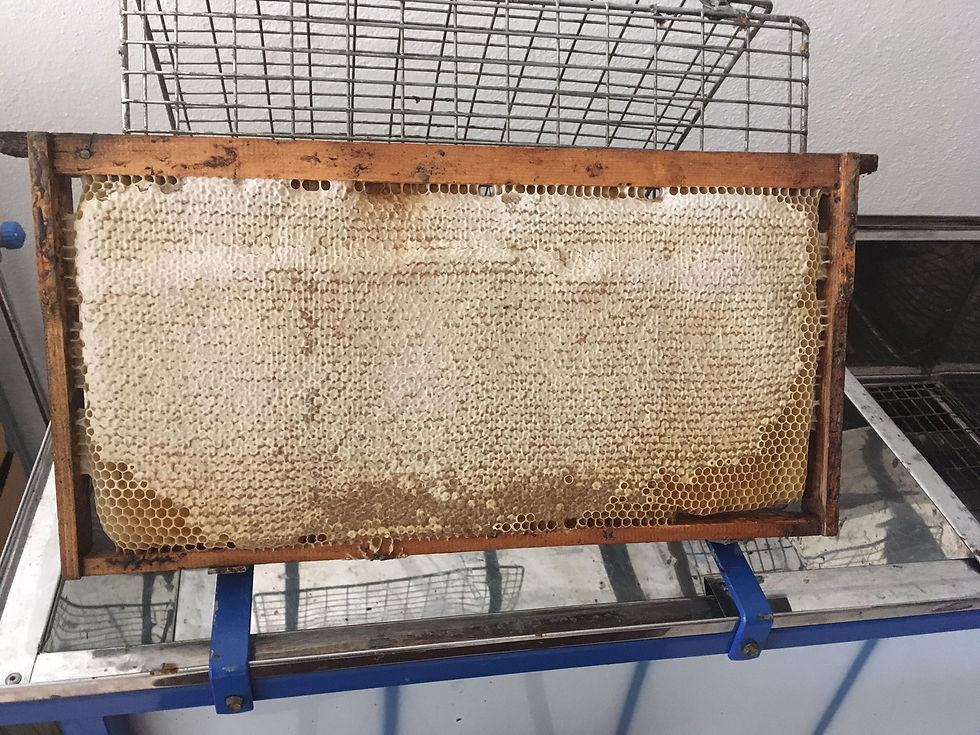 Beehive