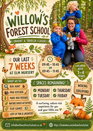 Parent and toddler advert.png