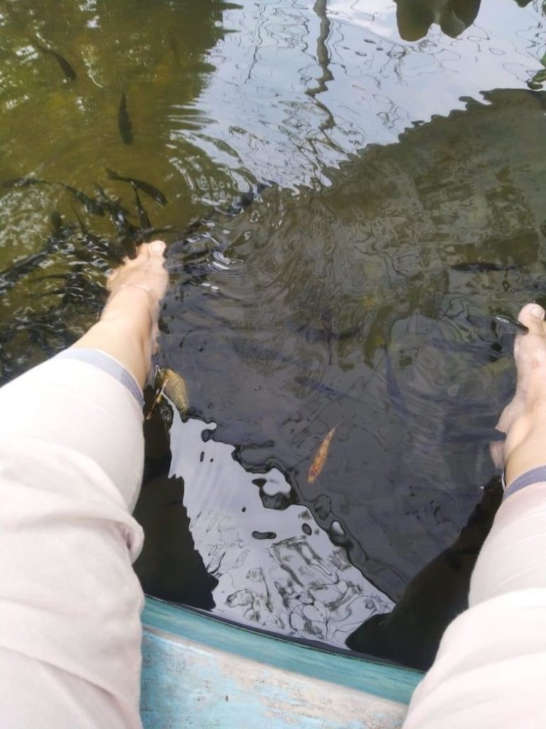 Terapi ikan yang dapat menyehatkan kulit