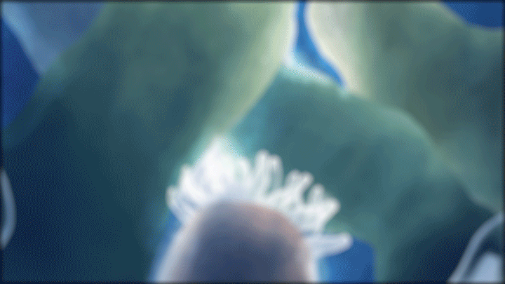 JAA_OP_kawasaki720.gif