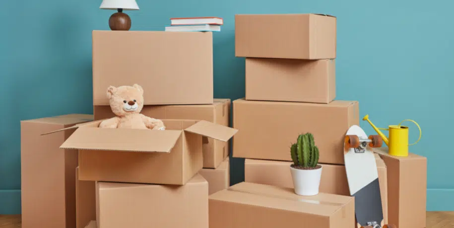 shipping bags for toys