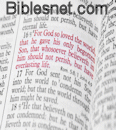 biblesnet.com web link.gif