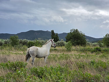 20250828_151326_edited.jpg
