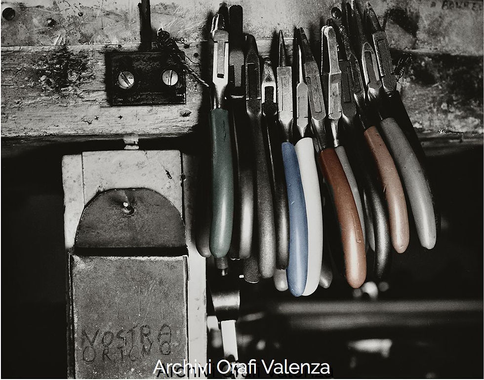 Tenaglioli