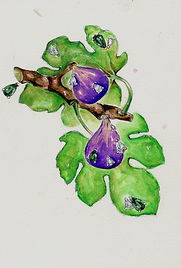 09 settembre Guia Barberis (1).jpg