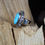 Thumbnail: Beautiful Kingman Turquoise Ring