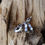 Thumbnail: Fun Sterling Silver Ring
