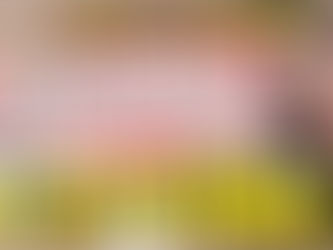 #3【集客力が劇的に変わる】情報収集は絶対に○○見て