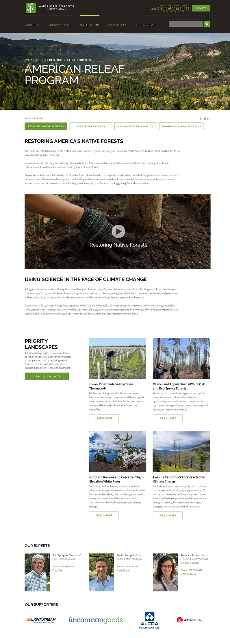 AF-Restore Forest.png