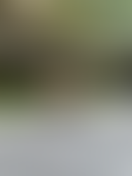 Lessons in Jugaad: Balancing the Pursuit of Perfection