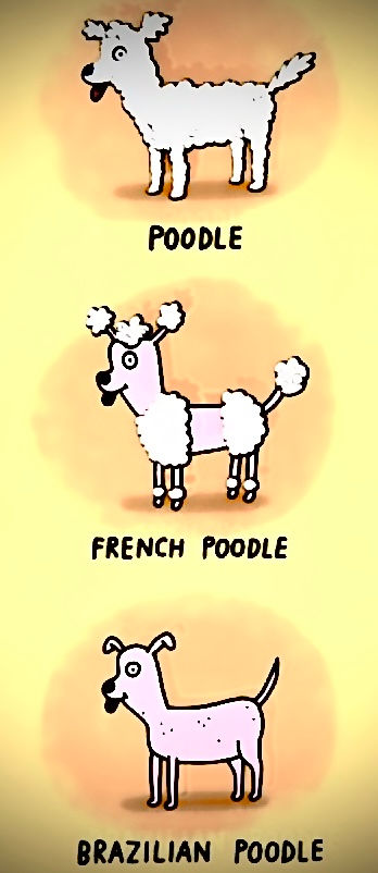         Bare Skin Studios New Working Hours & Locations 