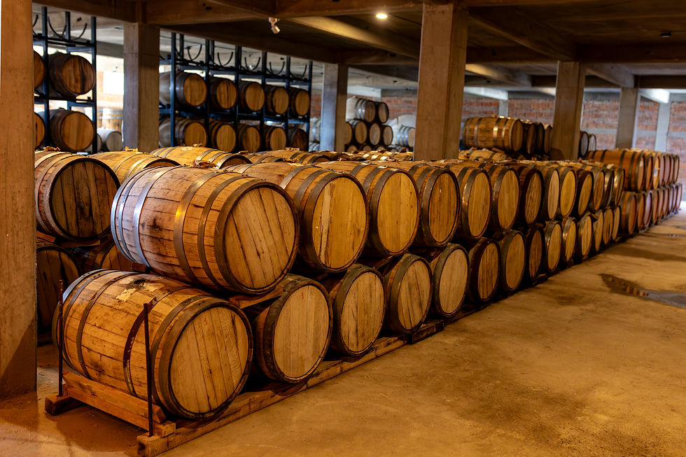 Enbazadora y barricas