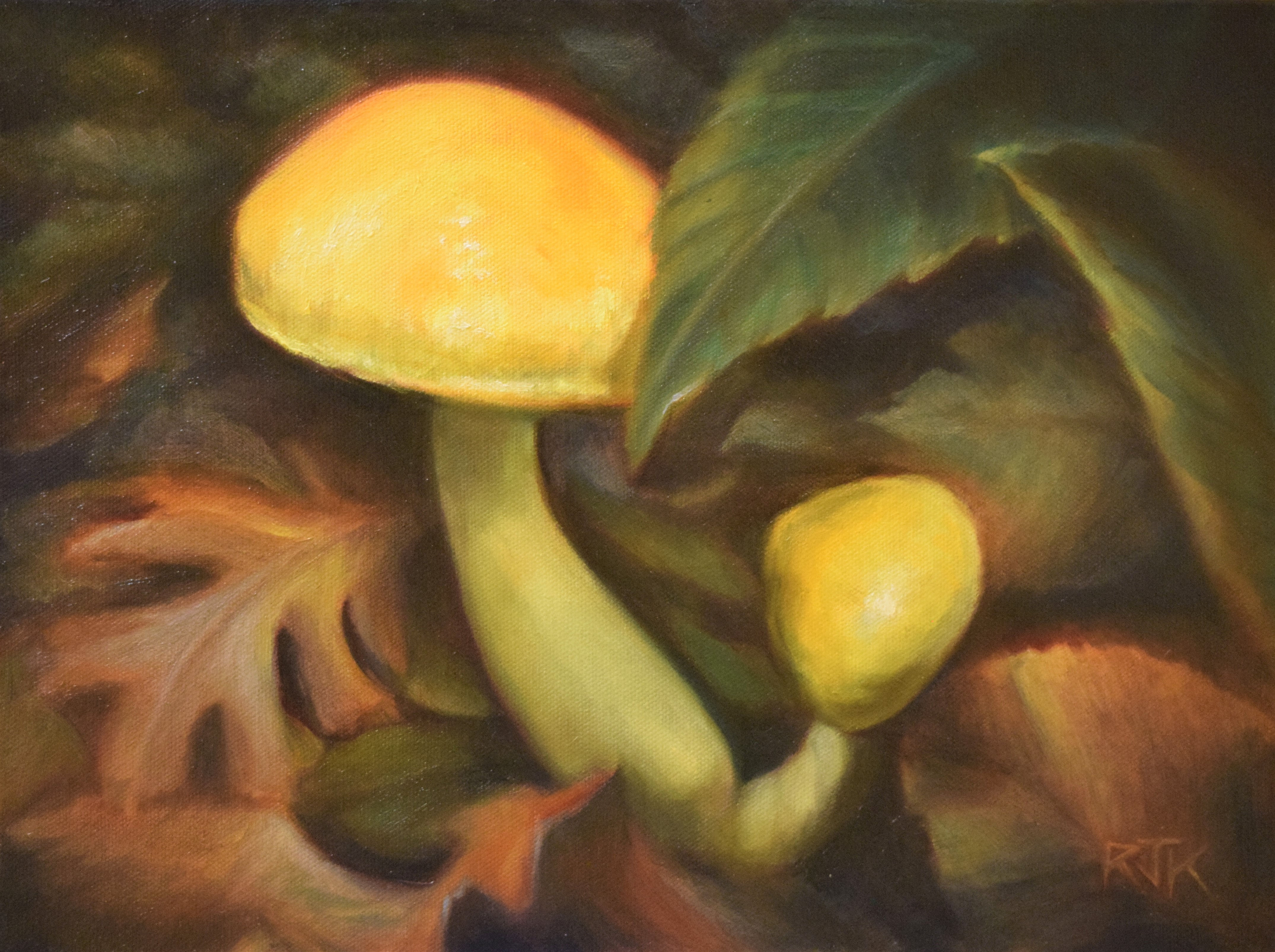 A Light in the Forest (Original Oil Painting)