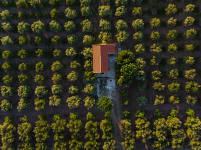 ©Nikos Karanikolas - Lemnos Philema - Ktima Olon (2).jpg