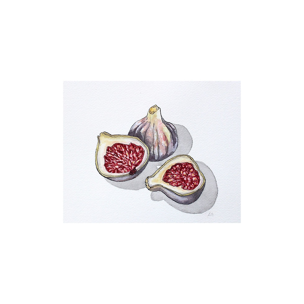 Fig