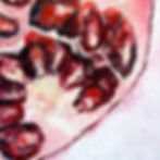 Pomegranate 1, 2025 DETAIL