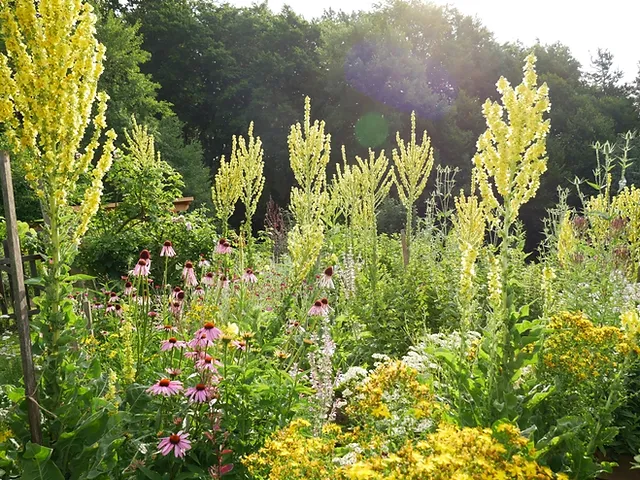 Krauterseminare Leben Mit Krautern Andrea Bregar Steiermark