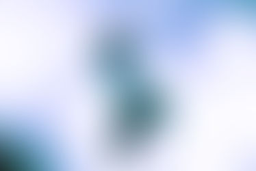 Fotoverslag | Powerized | Helmond
