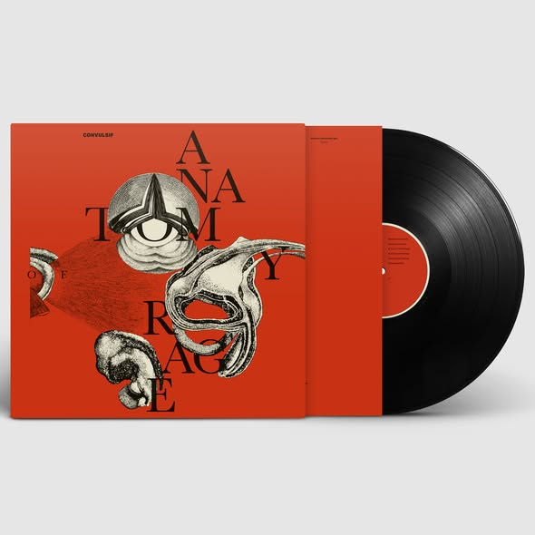 Nieuws & sounds | Convulsif kondigt vierde album Anatomy of Rage aan