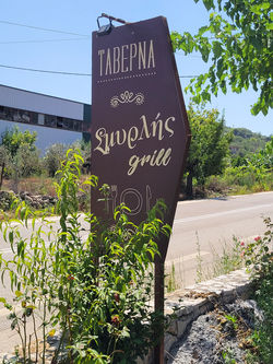 Ταβέρνα ΟΙ ΛΕΥΚΕΣ - ΣΕΡΦΑΣ 1