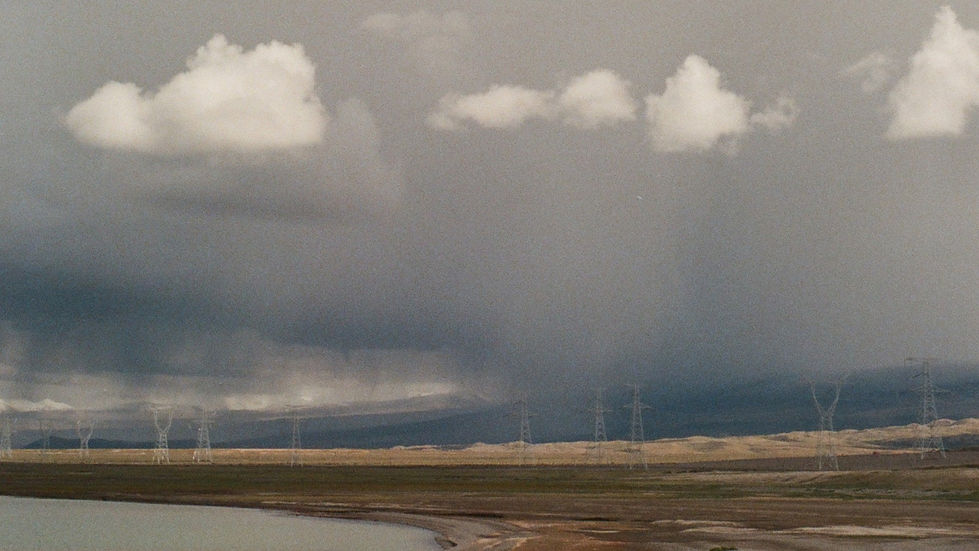 Horizontal Copy 000192550034