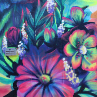 Colorful exterior mural created by Nyla Lee in Phoenix, Arizona 1/2 st 
