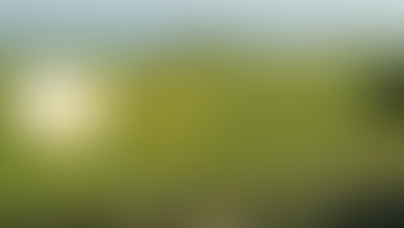 World Golf Awards: Portugal é o melhor Destino de Golfe do Mundo” e Madeira “Melhor Destino Emergente”