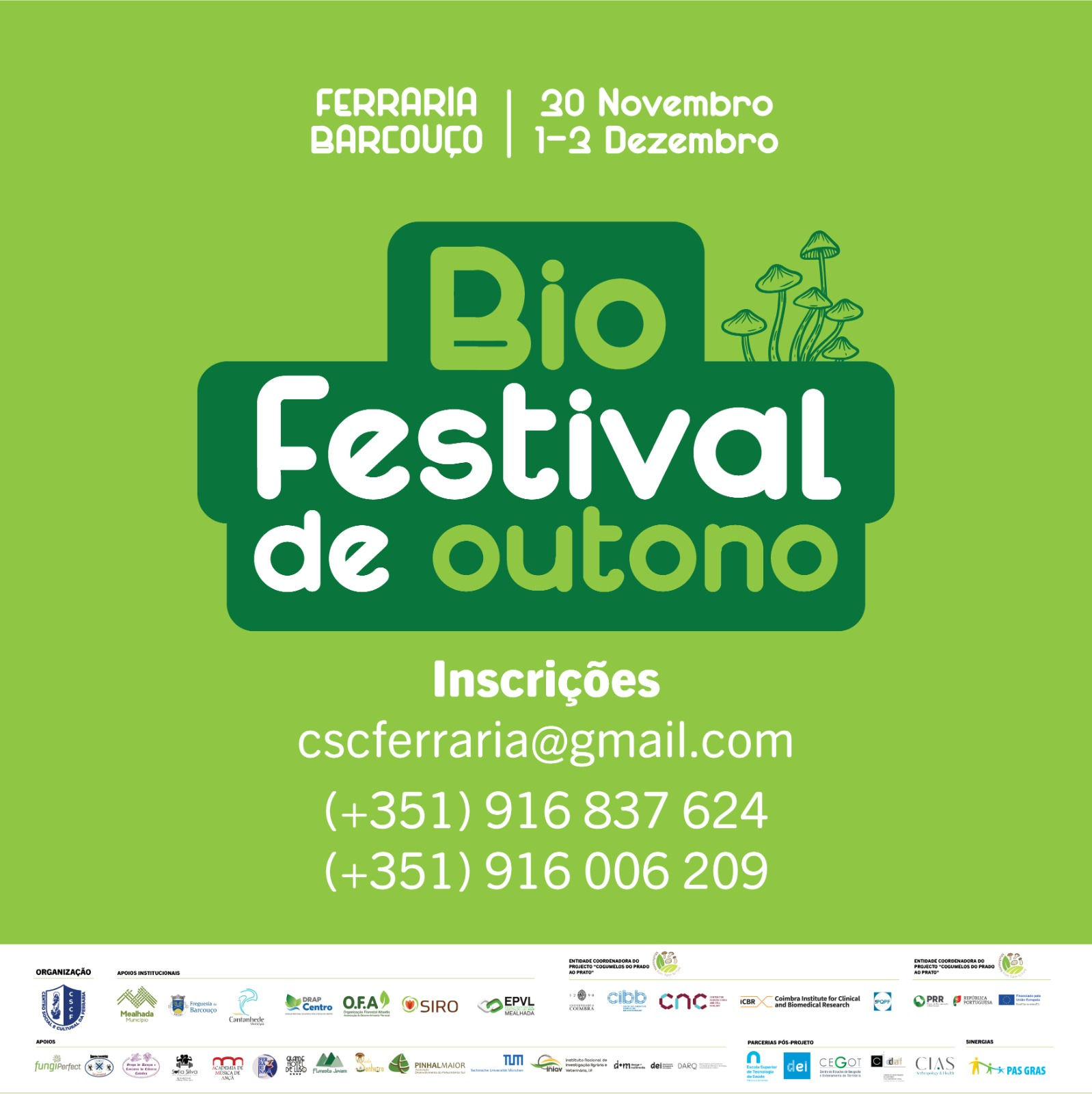 bio festival de outono