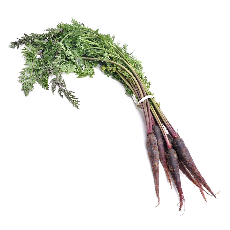MINI CENOURA ROXA, BABY PURPLE CARROTS
