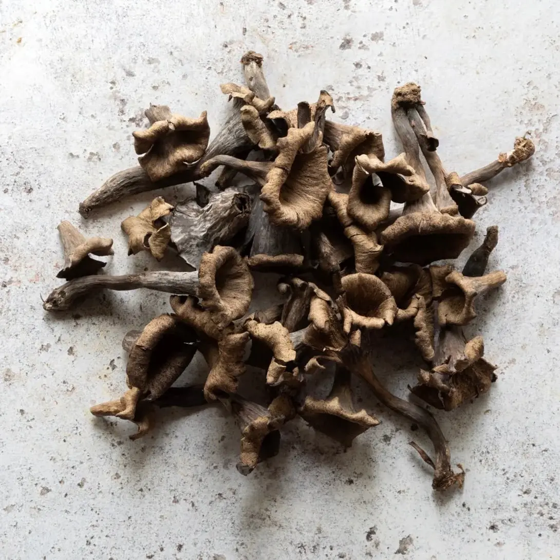 Craterellus cornucopioides