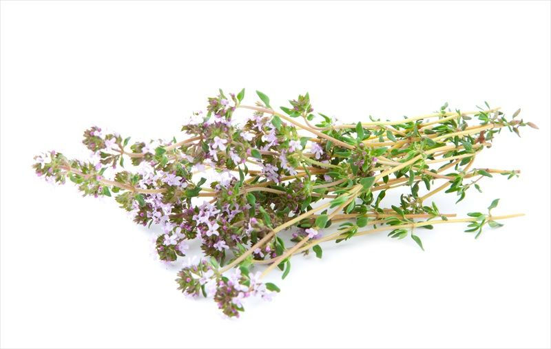 Miniatura: wild thyme