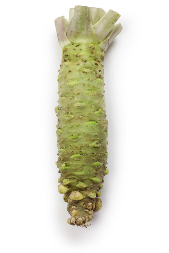 Miniatura: wasabi