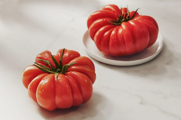 Miniatura: tomates de antigamente