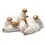 Miniatura: pleurotus eryngii