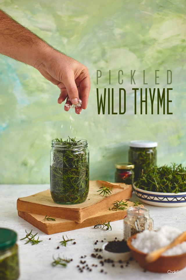 TOMILHO-SERPÃO | limacompimenta