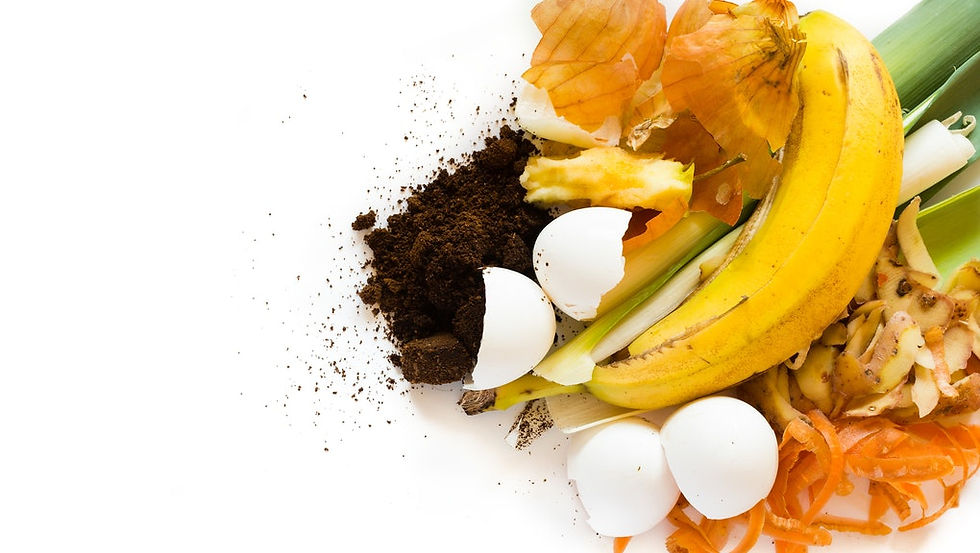 Desperdício Alimentar