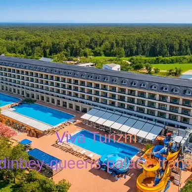 aydinbey queens palace transfer vip vito viva turizm