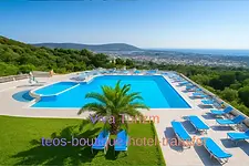 Ray Sultan Homes VIP Transfer Mercedes Viano