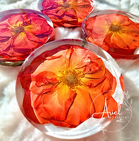 Floral Coasters