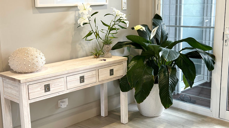 Foyer with Plants 2.jpg