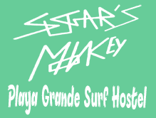 Sugar's Monkey in Playa Grande, Costa Rica