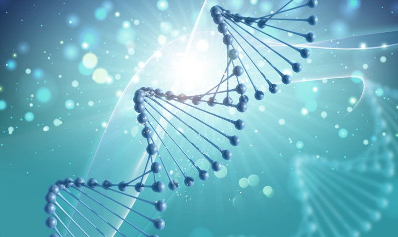 Should You Make the Switch to the GRCh38 Reference Genome?