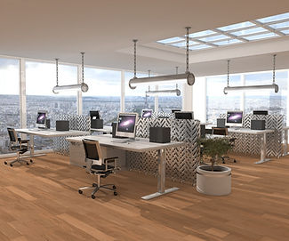 eclairage-adapte-aux-postes-de-travail-eclairage-pour-bureaux.jpg