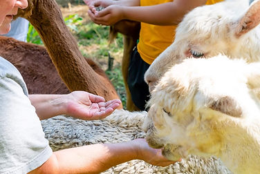 farmvisit.jpeg